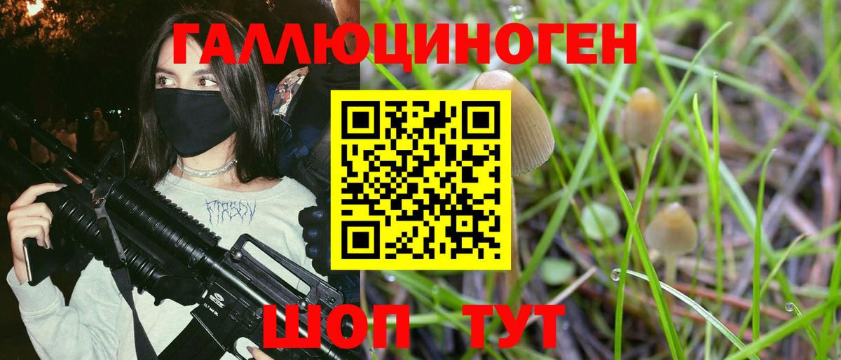 Галлюциногенные грибы Cubensis  Вход с VPN  Видное 
