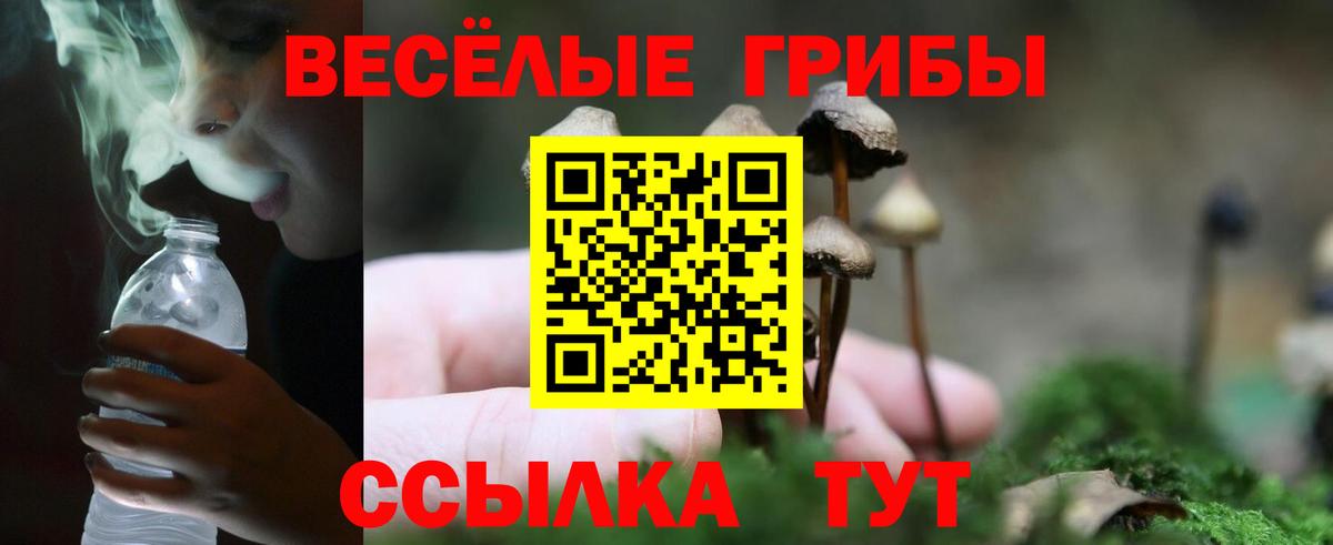 Галлюциногенные грибы MAGIC MUSHROOMS Видное